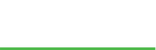 Evelia Logo