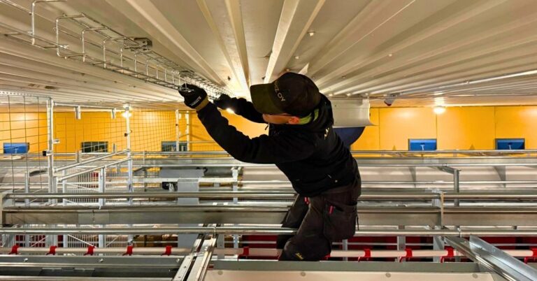 Nuori sähköasentaja asentaa kaapelointia ja sähköratoja siipikarjahallissa, yllään Mahiz Oy:n logolla varustettu huppari ja lippalakki, symboloiden yrityksen kenttätyön ammattitaitoa ja läsnäoloa.