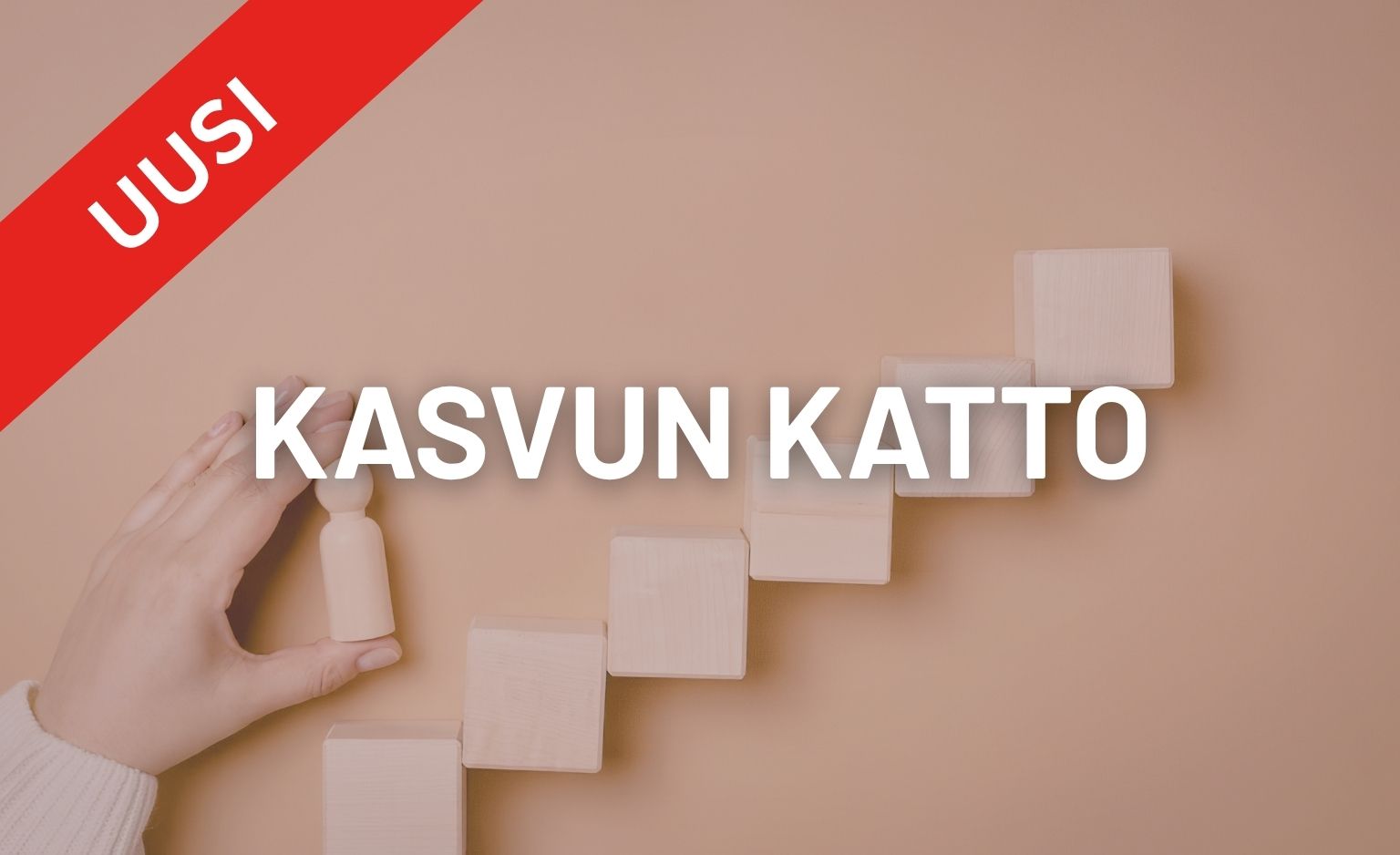 Portaittain nousevat puukuutiot ja teksti Kortit kuntoon, kuvituskuva toiminnanohjausjärjestelmän vaihdosta